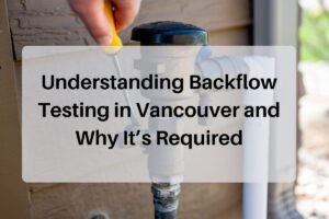 Backflow Testing