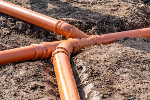 How to Prevent Tree Root Intrusion in Your Sewer Lines in Longview, WA